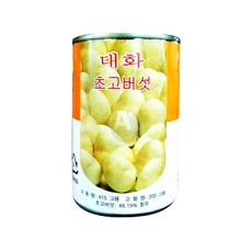 단풍 초고버섯캔 425g 중화요리 식당용 식자재 초코버섯통조림, 1개