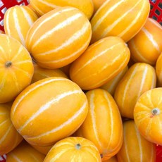 [타임특가] 고당도 성주 참외 가정용, 1박스, 3kg