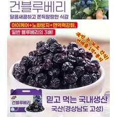 직판 블루베리 건조 100g 블루베리 말린 과일/베이킹 재료 무방부제 신선한 상큼함, 블루베리 드라이x1봉지