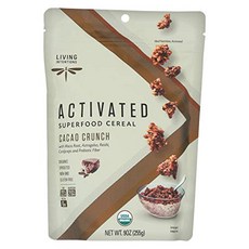 리빙 인텐션스 유기농 카카오 크런치 슈퍼푸드 시리얼 9 온 Living Intentions Organic Cacao Crunch Superfood Cereal 9 Ounce -, 1개, 255g