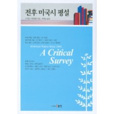 전후 미국시 평설, 동인, 스티븐 스테판쳅 저/최영승 역