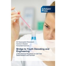 (英文圖書)Bridge to Youth Decoding and Engineering 平裝版, Scholars' Press, 英文