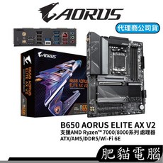 GIGABYTE 技嘉 B650 AORUS ELITE AX V2 主機板, 1個