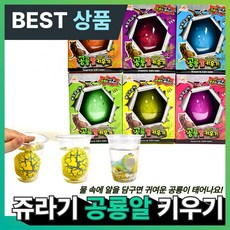아오어 공룡알 키우기 부화 세트 어린이집 유치원 단체 선물 랜덤발송, 1개