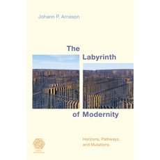 The Labyrinth of Modernity: Horizons Pathways and Mutations Hardcover, Rowman & Littlefield Publishers