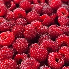 산딸기 냉동과 프리미엄형 [원산지:국산(경상북도 포항시 북구)], 1개, 250g