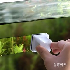 수족관 자석 브러쉬 어항 청소 솔 이끼 물때 제거