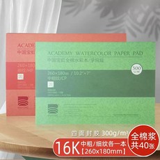 수채화지 아티스트 수채화 가용 용지 중목 종이 세트 바오홍, 1개, C. 소개 권장 사항 6K300G 미세한 선을위한 한
