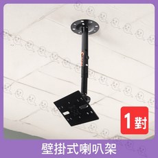 C-Best 壁掛式喇叭架 (一對)