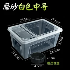 크롤러 먹이 상자 곤충 거북이 탱크, 03 white M