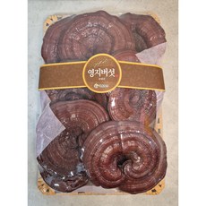 채울농산 국산100% 영지버섯 (고급특품-선물용) 1kg, 1개