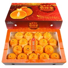한라봉 5kg 중 (18~22과), 일반포장, 1개