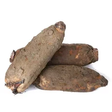 [햇살조은]국내 밀양 햇 생 연근 2kg(특품)