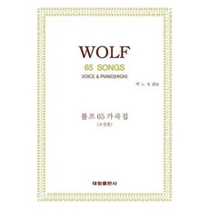 [태림출판사] 볼프 65 가곡집 [따뜻한책방]