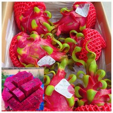 당도 보장 프리미엄 레드용과 5kg(6~7과), 1개, 5kg