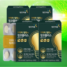 [상상건몰 ] 두뇌 혈행건강 개선 도움 은행추출물 나이아신 아연 기억력 혈행엔 징코 플러스 15g, 1박스, 30회분