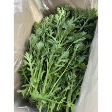 싱싱한 쑥갓 당일수확 당일배송 산지직송, 4kg, 1개