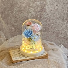 寶寶粉藍永生玫瑰玻璃罩，槽燈款附電池，LED燈飾木質底座, 無須加購