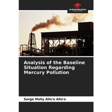 (영문도서)Analysis of the Baseline Situation Regarding Mercury Pollution Paperback