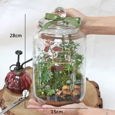 【原生態NatureWorld】特大植物生態瓶DIY材料包 教學影片, 1個
