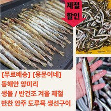[용문이네] 동해안 양미리 생물 / 반건조 1두릅 / 겨울 제철 반찬 안주 도루묵 생선구이, 1개, 생물 양미리 1kg (약 30미 내외)