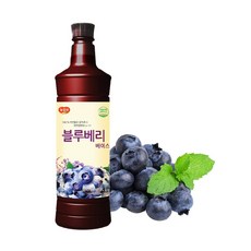 광야 광야식품 음료 블루베리 베이스 970ml x 1개