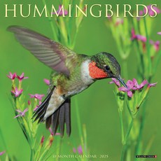 (영문도서)Hummingbirds 2026 12 X 12 Wall Calendar Spiral, Willow Creek Press Calendars, English, 9781549251528