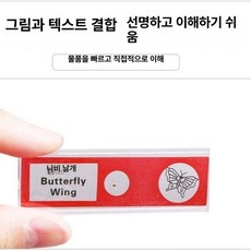 프레파라트 48종 표본 실험도구 식물 현미경 체험, 랜덤 1장 체험팩, 기본 색상