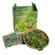 유기농 원료사용 미나리즙, 50개, 100ml