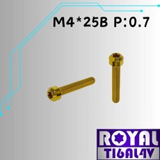 ROYAL TIGAL4V M4*25B P:0.7 鈦合金錐形螺絲, 1個