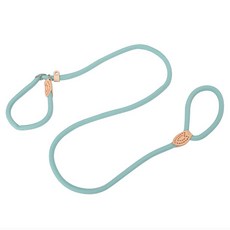 큐트스마트 강아지 중소형견 전용 PU 리드줄, 1개, 블루 그린