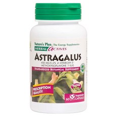 Natures Plus 黃耆素食膠囊 450mg, 1個, 60 件
