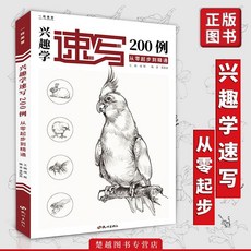 描摹本 臨摹本 素描本，興趣學速寫動物畫冊，零基礎入門純手繪技法訓練，畫本描摹線稿素描書, 起點線描生活篇,速寫書/描摹本/臨摹卡