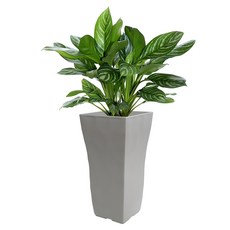 花盆世界大型室內塑料 Riverstone 花盆, 灰色, 1個