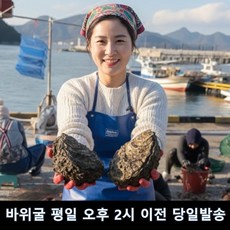 노로 걱정없는 자연산 바위굴 잠수부 채취, 1개, 2kg(1-5미)