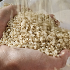 당일도정 밥맛 억수로 좋은 함안쌀 2kg-10kg 현미 오분도미 칠분도미 쌀눈쌀, 2kg