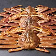 제철 맞아 살이 꽉 찬 수율 80% 이상 특품 포항 구룡포 활대게, 1박스, 국내산 활 대게(중) 5마리 (9.6~9.9cm 내외)