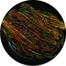 수입 갓김치 / 톡쏘는맛의 중국산김치 5kg 10kg, 1개