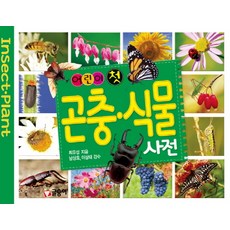 어린이 첫 곤충 식물 사전, 글송이, 상세내용 참조