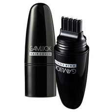 프롱 감쪽 헤어 새치 커버 틴트 스틱 8ml, 블랙, 1개