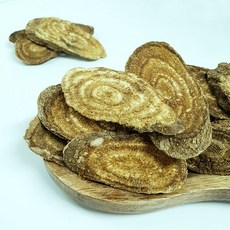 백장생 칡(편갈근 각갈근), 1개