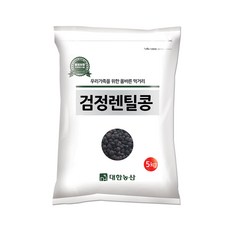 대한농산 검정렌틸콩 5kg 렌틸콩, 1개