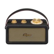 SANGEAN 山進 RA101 FM調頻質地藍牙便攜式喇叭, 詳見包裝