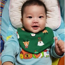 PRINCE 寶寶可愛動物造型口水巾禮盒，柔軟親膚，多款可愛動物圖案，送禮自用, 綠色, 1個