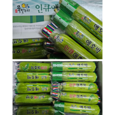 [임가네농산] 호박 애호박 국내산 애호박 인큐 애호박 5개 10개 20개 1박스, 1개, 20개입(1박스)