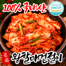 [칼국수맛집납품] 100%국내산 당일제조 아삭매콤 겉절이, 1박스, 2kg