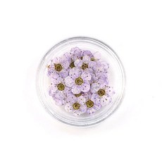 에폭시 송진 쥬얼리 꽃 매화 공예 건조 액세서리 DIY 수선화 제작용 아트 네일 압착, Light rple