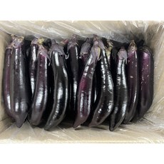 국내산 못난이 햇 가지, 1박스, 2.5kg(못난이)