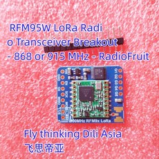 3072 RF 개발 도구 xx RFM95W LoRa 무선 트랜시버 브레이크 아웃-868 또는 915 MHz - RadioFruit, 한개옵션0, 한개옵션1