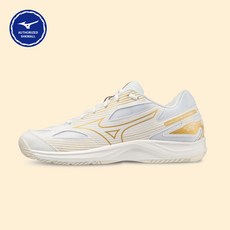 Mizuno 美津濃 Cyclone Speed 4 白金色羽毛球鞋 體大入試鞋 排球鞋 壁球鞋 室內運動室內鞋 V1GA238058